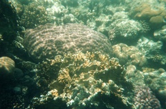 Нет комментария