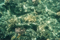 Нет комментария