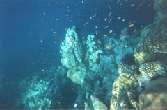 Нет комментария