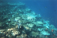 Нет комментария