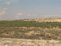 Нет комментария