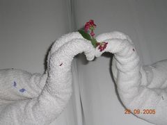 Нет комментария